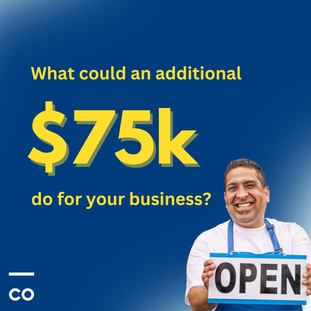 minority business loans