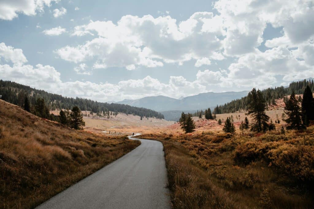 moving your business to colorado