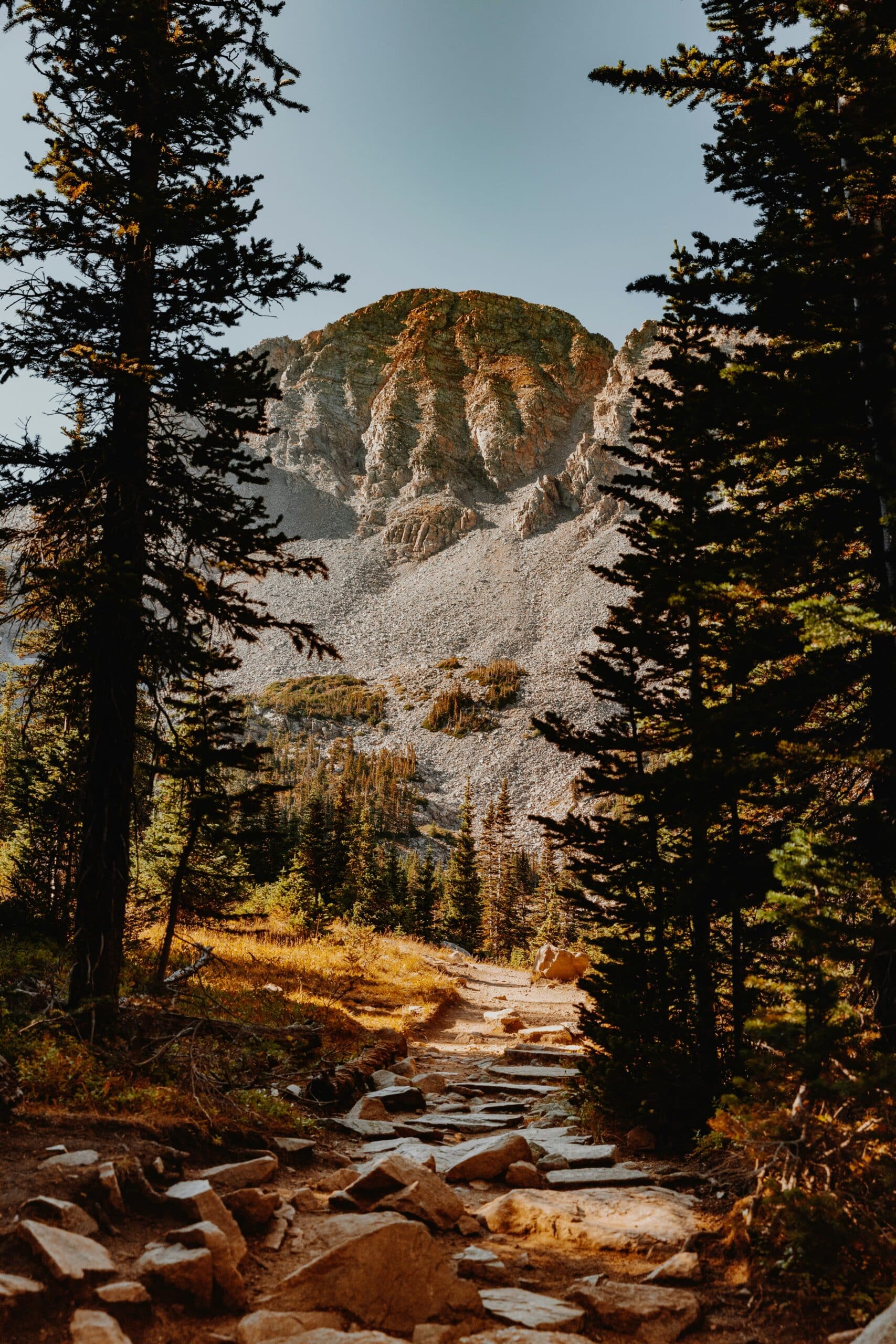loans for retail businesses in colorado