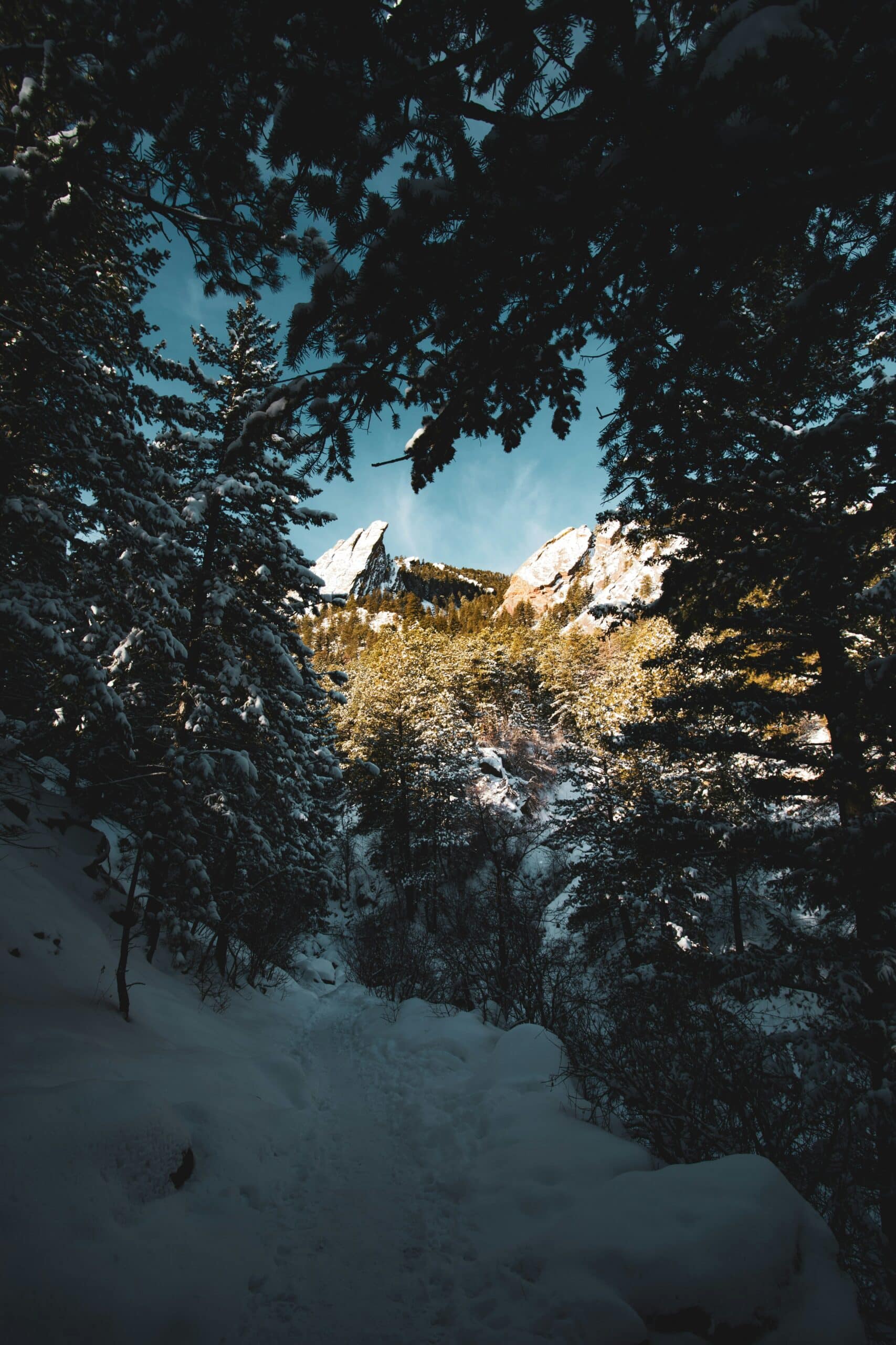 loans for retail businesses in colorado